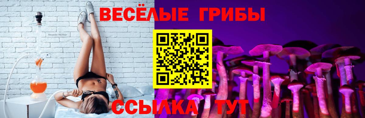 Галлюциногенные грибы Magic Shrooms  Псилоцибиновые грибы прущие грибы  Вход с VPN  Кимры 